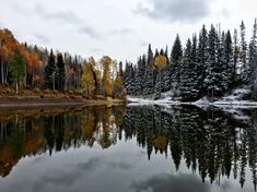 a lake surrounded by trees covered in snow