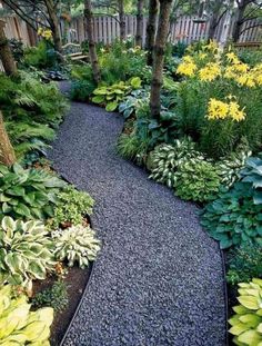 a garden filled with lots of different types of plants and flowers on top of gravel