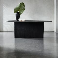 a black table with a large green plant on it's top in an empty room