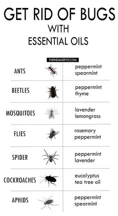 Get Rid Of Bugs With Essential Oils Poster High quality resin-coated photo base paper. Satin photo finish, maximum color gamut, dmax, and image resolution Bug Spray Recipe, Essential Oils Guide, Homemade Cleaning Solutions, Living Essentials Oils, Oil Diffuser Blends, Household Cleaning Tips, Essential Oil Uses, Diy Life Hacks, Doterra Essential Oils