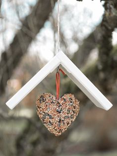 a heart shaped bird feeder hanging from a tree