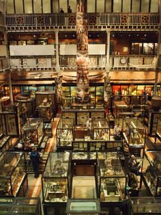 the inside of a museum filled with lots of glass cases