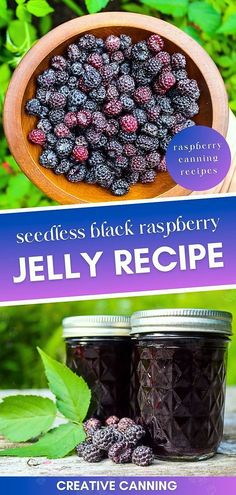 the book cover for blackberry preserves by jelly recipe