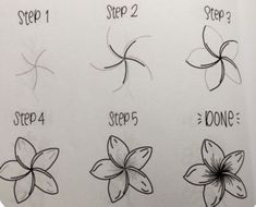 Easy Drawings For Journal, Plumeria Drawing Step By Step, Easy Drawings Sketches Flowers, Easy Drawing Ideas Flowers, Tutorial Flower Drawing, Easy Flower Drawing Tutorial, Journal Flowers Doodles, Draw A Flower Step By Step, Drawing Of Flowers Easy