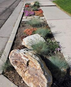 some rocks and plants on the side of a road with grass growing out of them