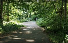 an empty road surrounded by green trees and bushes on both sides, with a person walking in the distance