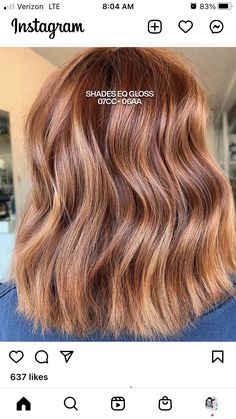 Brown Hair Peach Highlights, Shades Eq Toner Formulas Caramel Copper, Copper Hair Shades Eq Formula, Copper Toner Formula Shades Eq, Redken Shades Formulas, Redken Shades Eq Light Copper Formula, Cowboy Copper Hair Formula, Shades Eq Copper, Copper Brown Hair Formula