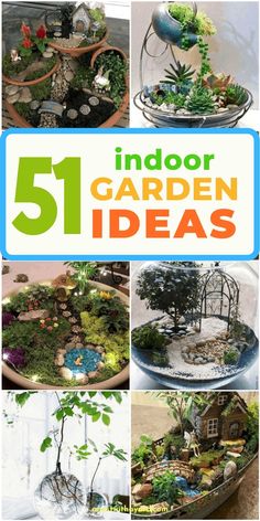 the cover of an article about indoor garden ideas