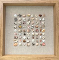 a wooden frame with various seashells in it