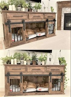 two pictures of a dog laying on top of a wooden cabinet with plants in it