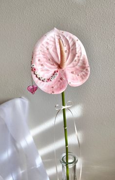 a pink flower in a glass vase on a table