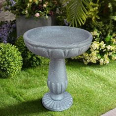 a bird bath sitting on top of a lush green grass covered field next to flowers