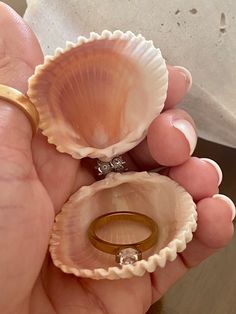 Proposal seashell ring box made from a gorgeous Florida Gulf Coast seashells are stunning! These gorgeous handmade seashell ring holders are perfect for beach proposals. They are embellished with silver or gold rhinestones that serve as a hinge and are finished with staggered half pearls for added delight. They have minimal bling in order to be the perfect surprise proposal ring holder. It will include a clear cord to keep the seashell closed. Simply place ring inside, close and place clear cord Elegant Shell-shaped Ring For Gifts, Ocean-inspired Shell-shaped Rings As Gift, Elegant Round Shell As Gift, Elegant Shell Gift, Elegant Round Shell Gift, Shell-shaped Shell Jewelry For Wedding, Round Shell As A Gift, Ocean-inspired Shell Jewelry For Wedding, Ocean-inspired Shell Wedding Jewelry