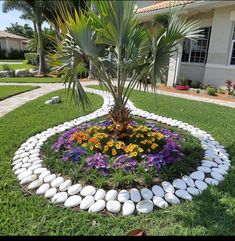 a flower bed made out of rocks in front of a house with a palm tree