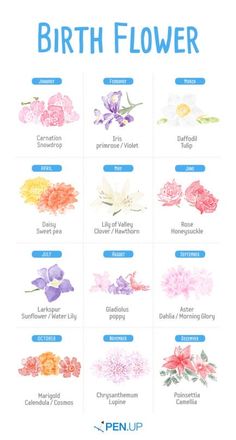 the birth flower chart is shown in blue and pink