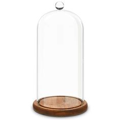 a wooden base under a glass clochet on a white background for display purposes