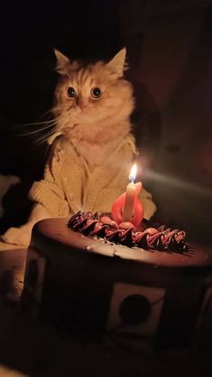 a cat sitting in front of a cake with a lit candle on top of it