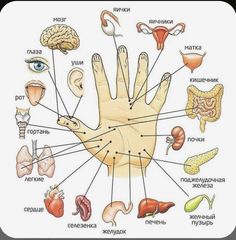 Ear Reflexology, Pressure Point Therapy, What Is Health, Reflexology Massage