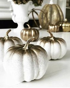 three white pumpkins sitting on top of a counter next to a vase filled with flowers