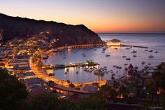 a harbor filled with lots of boats next to a mountain side covered in trees and lights