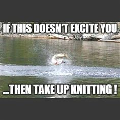 a dog jumping in the air over water with caption that reads, if this doesn't exite you then take up knitting