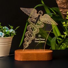 a glass award with an angel on it next to a potted plant and some flowers