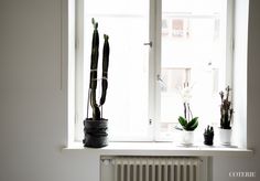 some plants are sitting on a window sill in front of a radiator