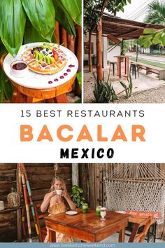 the best restaurants in bacalar, mexico