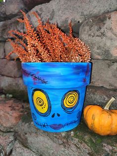 a blue pot with orange flowers in it next to a small pumpkin and some rocks