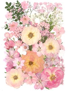 an arrangement of pink and yellow flowers on a white background with watercolor paint effect