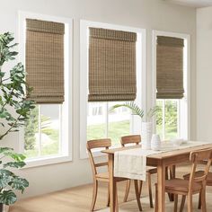 a dining room table and chairs with roman shades on the windows behind them in front of a potted plant