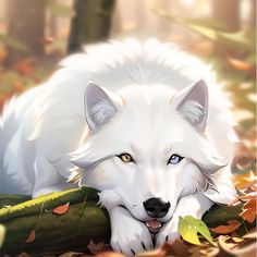 a white wolf laying on top of leaves