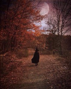 a person walking down a path in the woods