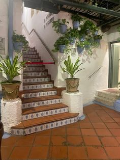 some potted plants are sitting on the stairs