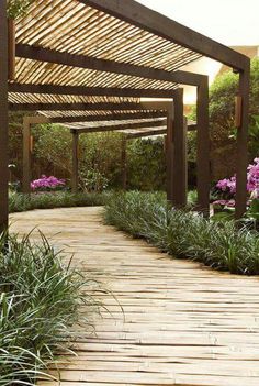 a wooden walkway surrounded by purple flowers and greenery