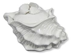 a white shell shaped dish on a white background