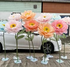 some pink and blue flowers in front of a white car