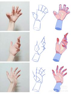 four different images of hands with various shapes and sizes