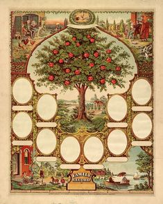 an apple tree with many pictures on it