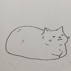 a black and white drawing of a cat laying on top of a sheet of paper