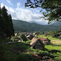 a small village in the middle of a green valley with mountains in the background and trees on either side