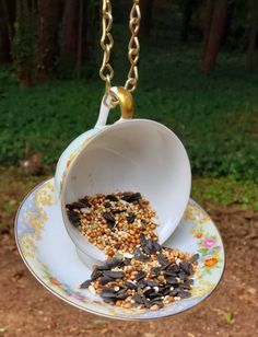 a teacup filled with bird seed is suspended from a chain