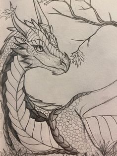 a pencil drawing of a dragon in the grass next to a tree with leaves on it