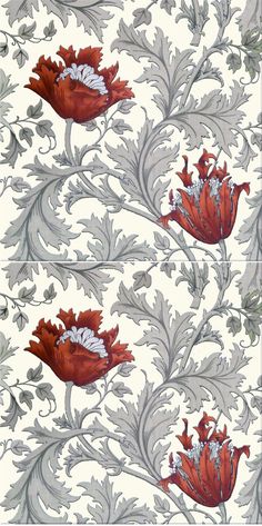 a red and white wallpaper with flowers on it