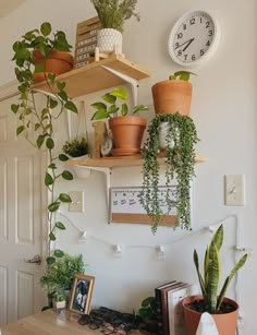 some plants are hanging on the wall in front of a clock and other things to do with them