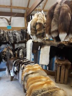 several furs are hanging on racks in a room