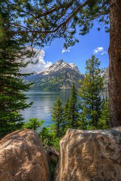 some rocks and trees on the side of a mountain with a lake in the background