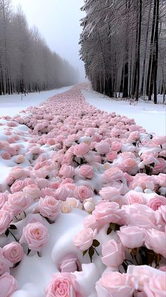 pink roses are arranged in the middle of a snow - covered path that is lined with trees