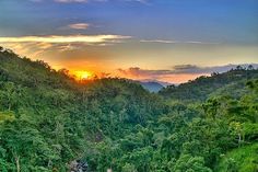 the sun is setting over some trees and water in the middle of a jungle area