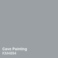 a gray background with white text that says,'the cave painting km894 '